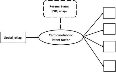 Social jetlag is associated with adverse cardiometabolic latent traits in early adolescence: an observational study